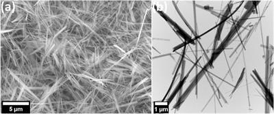 A novel approach for adsorption of organic dyes from aqueous solutions using a sodium alginate/titanium dioxide nanowire doped with zirconium cryogel beads